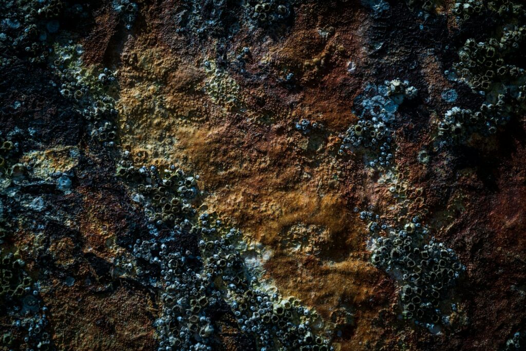 rust
